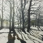 Jo-Barry-Shadows-of-the-Morning