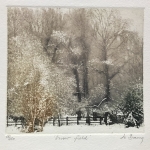 Jo-Barry-Snow-field