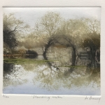 Jo-Barry-Standing-water