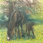 Jo-Barry-Sweet-Spring