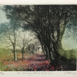 Jo-Barry-The-blushing-flowers-shall-rise