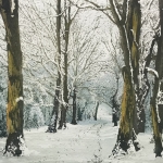 Jo-Barry-Though-the-cold-woods