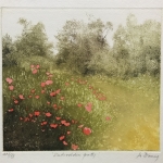 Jo-Barry-Untrodden-path