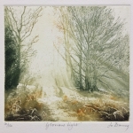 Jo-Barry_Glorious-light