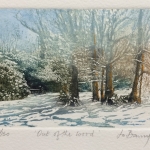 Jo-Barry_Out-of-the-wood