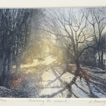 Jo-Barry_Relishing-the-light