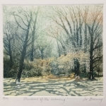 Jo-Barry_Shadows-of-the-evening