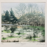 Jo-Barry_Waterlogged