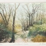 Jo-Barry_Woodland-track