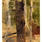 Joseph-Salerno-Spring-Woods-5.10.22