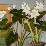 Kate-Longmaid-Amaryllis-and-Paper-Lanterns