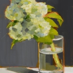 Kate-Longmaid-hydrangea