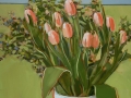 Kate-Longmaid-Coral_Tulips