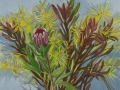 kate-longmaid-Queen-Protea-and-Blue-Star-Amsonia