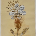 Fry-Leslie-Exclamatory-Rose