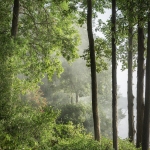 Cassell_Arms_Lisa_Gilded_-_Landscape_Path