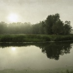 Cassell_Arms_Lisa_Gilded_Landscape_-River_Bend