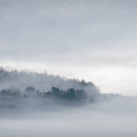Cassell_Arms_Lisa_Gilded_Landscape_Misty_Hills