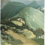 Matt-Brown-Along-Franconia-Ridge