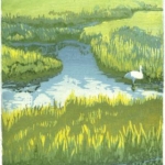 Matt-Brown-Egret
