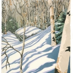 Matt-Brown-Snow-on-Cannon-Mountain