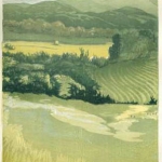 summerdayandcamelshump