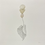 1_Adams_Miriam_Balance-scaled