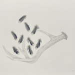 1_Adams_Miriam_Untitled_1-scaled