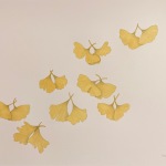 Adams_Miriam_A_Flutter