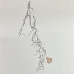 Adams_Miriam_Roots