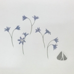 Adams_Miriam_Scilla_Siberica_with_Stone