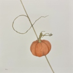Adams_Miriam_Untitled-scaled