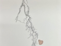 Adams_Miriam_Roots