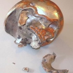 a-momento-mori