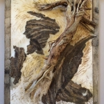 Nancy-Weis-Empathy-for-the-Storm