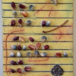 Nancy-Weis-Poem-First-Draft