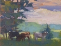 Elizabeth-Allen-Shelburne-Farms-Cows