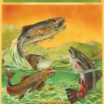 Kevin-Ruelle-Green_Mountain_Trout