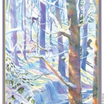 Kevin-Ruelle-VT_Backcountry