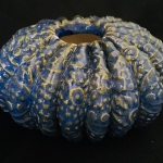 Anne-Thiam-Blue-Surf-Pod