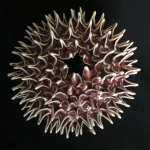 Thaim-Anne-OXBL-Razor