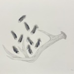 Adams_Miriam_Untitled_1